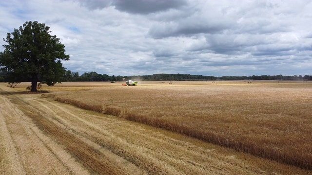 勃兰登堡的农田里，小麦在收割视频素材