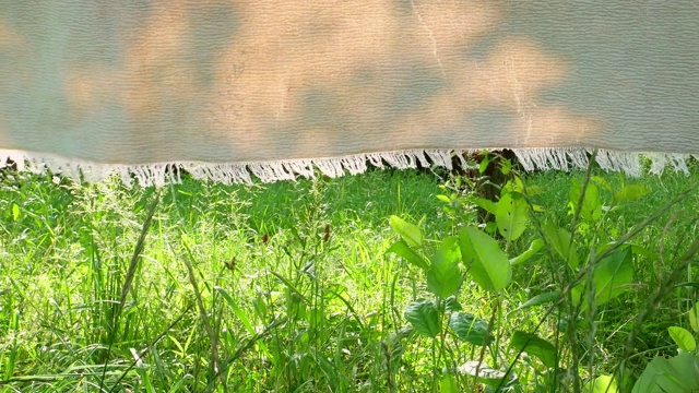 在阳光下吹干织物床。的背景图片。绿色的草。阳光。阴影的植物。视频素材