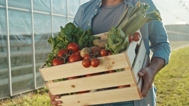年轻的男性农民，带着满满一板条箱的新鲜蔬菜视频素材