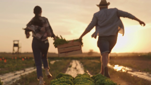日落时分，一对面目全非的夫妇带着一箱蔬菜跑过田野视频素材