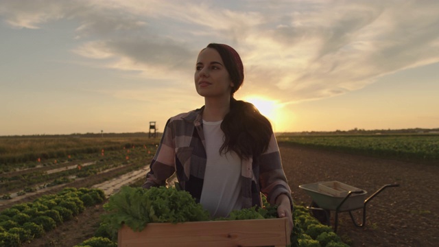 日落时分，一名年轻女子背着一箱蔬菜穿过田野视频素材