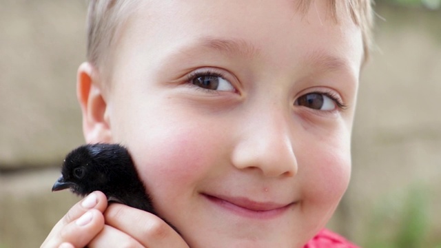 一个微笑的男孩手里拿着一只小鸡的可爱场景。视频素材