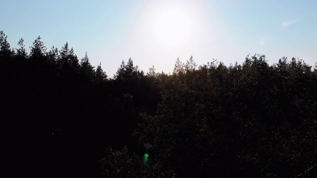 鸟瞰图的松林对太阳的剪影视频素材