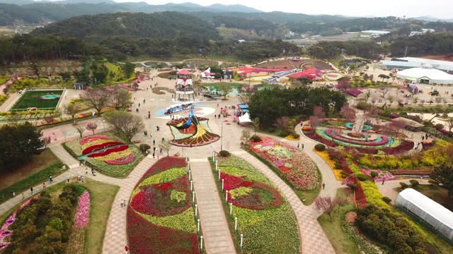 大安世界郁金香花节期间的韩国花卉公园/安明岛，大安郡，忠清南道视频下载