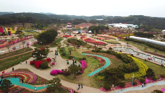 大安世界郁金香花节期间的韩国花卉公园/安明岛，大安郡，忠清南道视频素材