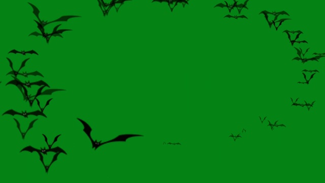飞行蝙蝠绿色屏幕运动图形视频素材