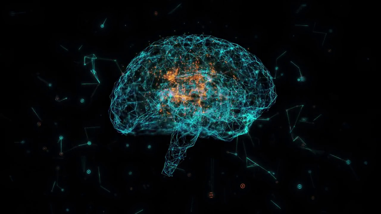 带神经元和受体的大脑模型视频下载