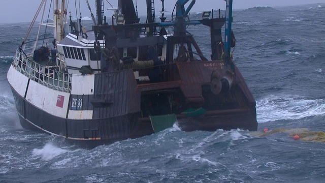 英国，苏格兰，一艘拖网渔船在海上捕鱼视频素材