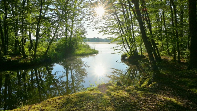 法国摩泽尔市Sarrebourg的Etang du Stock湖，早晨的阳光视频下载