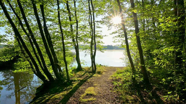 法国摩泽尔市Sarrebourg的Etang du Stock湖，早晨的阳光视频下载