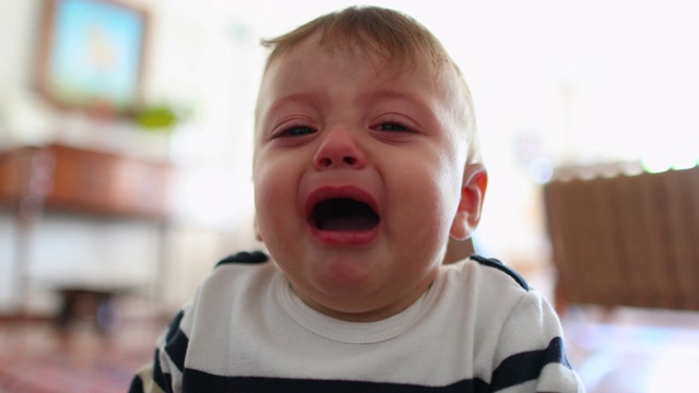 小男孩发脾气。婴儿学步哭泣。蹒跚学步的孩子寻求支持视频素材