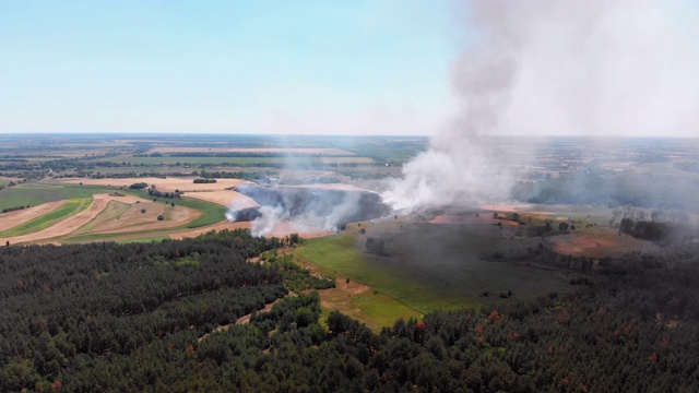 麦田火灾鸟瞰图。飞过农田上空的烟雾视频素材