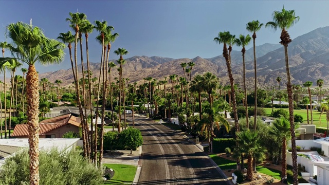 在历史悠久的Canyon Estates社区，住宅街道两旁排列着高大的棕榈树视频下载