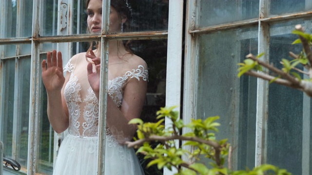 一个新娘站在一个古老植物园的窗户后面的侧视图视频素材