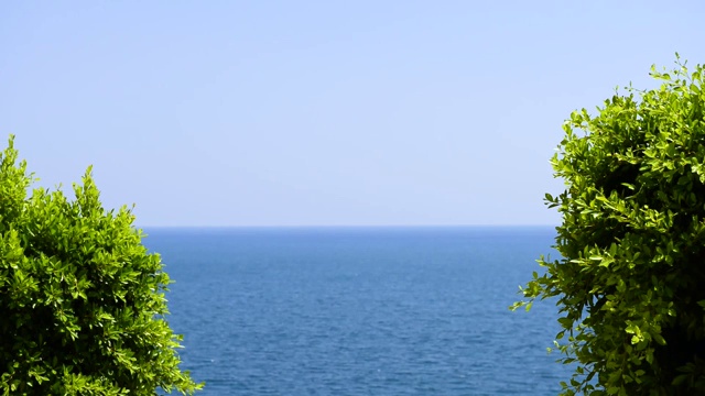 通过弯曲的绿色树枝在风中观赏海景视频素材