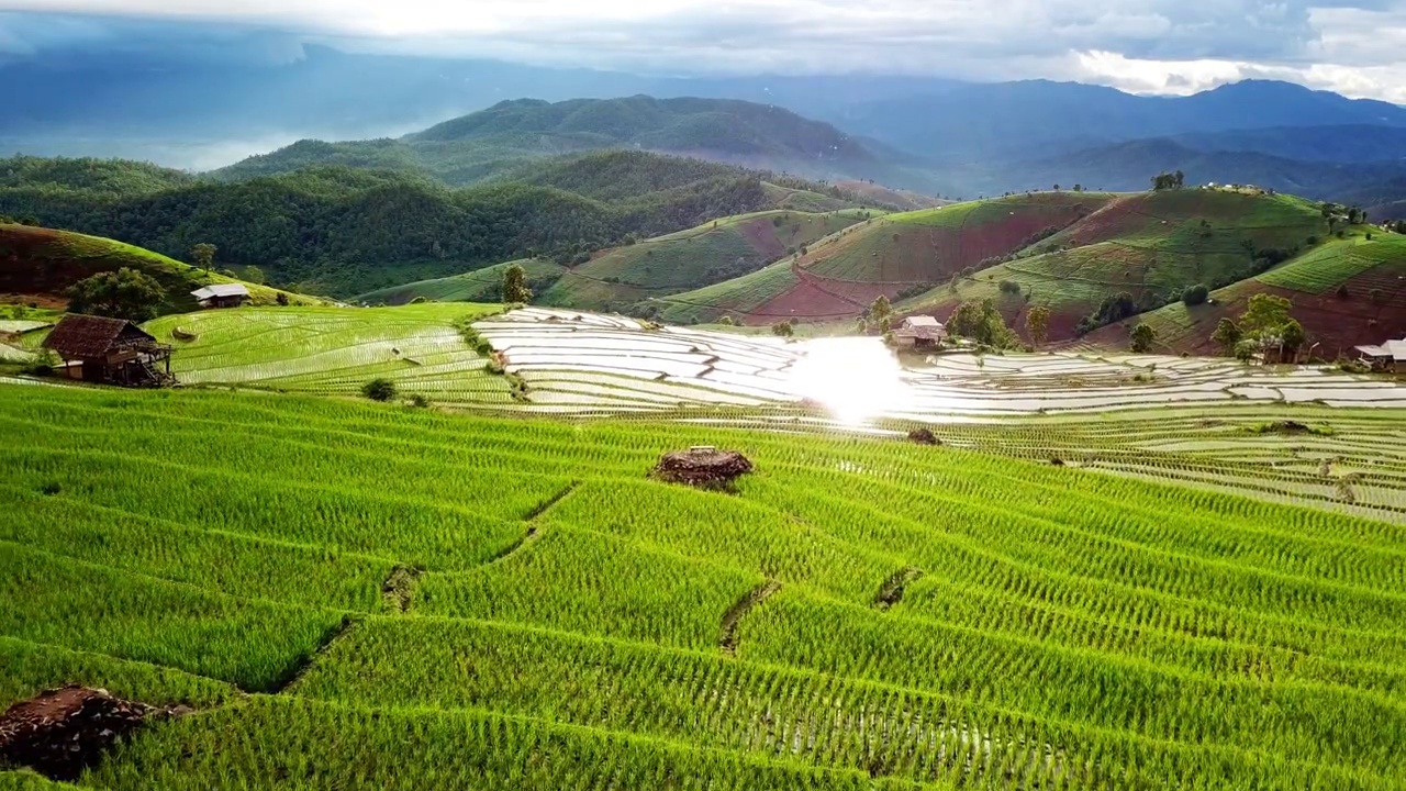鸟瞰山坡上的稻田梯田全景，东南亚农业视频下载