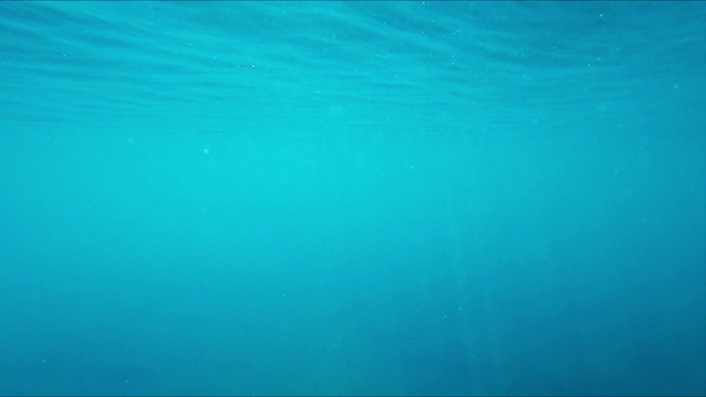 水下背景- 4K分辨率视频下载