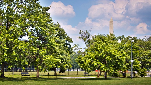 公园和华盛顿纪念碑。华盛顿特区视频素材