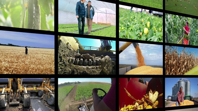 视频墙蒙太奇-农业生产视频下载