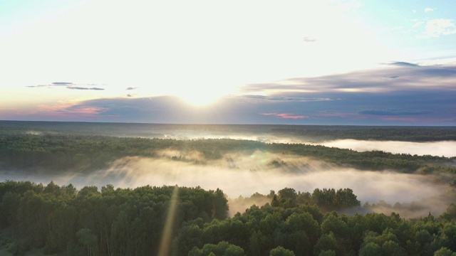 鸟瞰图绿色的田野和森林在日落视频素材