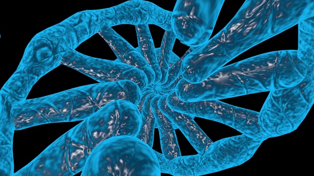 在黑色背景上旋转DNA的3D动画。在看。视频下载