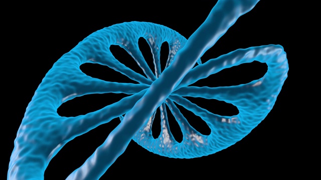 黑色背景下DNA生长的3D动画。缩小照片。视频下载