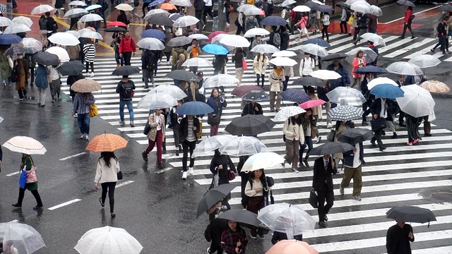 带着雨伞在雨中行走的乘客视频素材