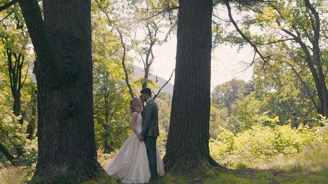 一对年轻的夫妇在树林里相遇在阳光的背景下。新婚夫妇轻轻触碰他们的手，看着彼此的眼睛。视频素材