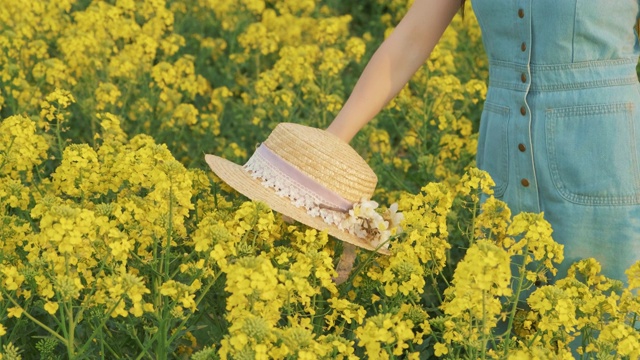草滩太阳帽躺在黄花油菜花上。冒充模特的漂亮女人视频下载