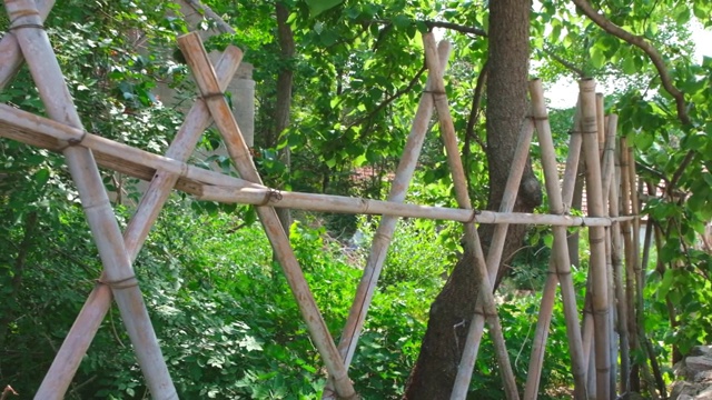 一个美丽的手工制作的竹篱在森林视频下载
