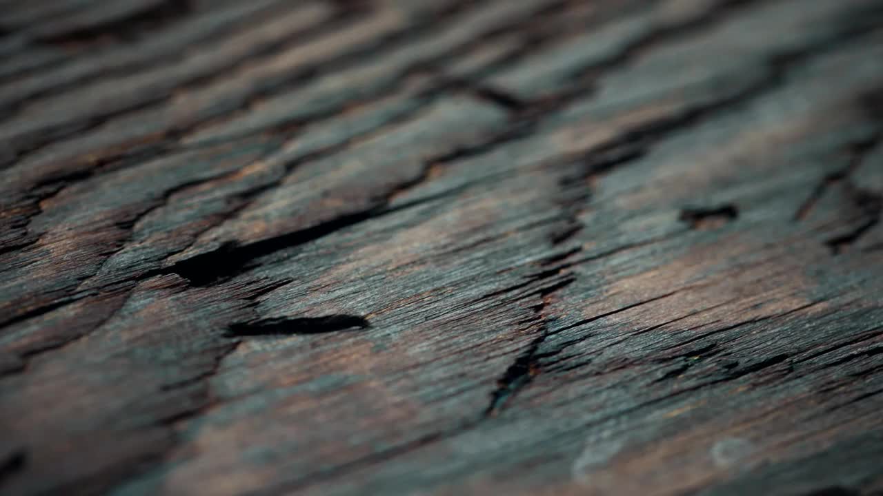 老化的木材材料特写。多莉拍摄视频下载
