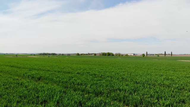 在中欧的一个农业地区，飞过一片绿色的草地和一片长着年轻谷物的田野视频下载