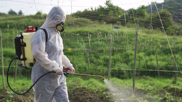 一位亚洲华人女农民穿着防护服在农场喷洒苦地植物进行消毒视频下载