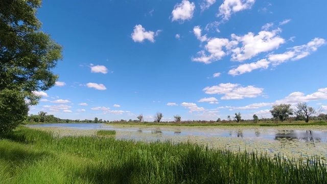 夏天有河流的乡村景观视频素材