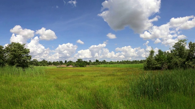 绿色的田野，天空和云彩视频素材
