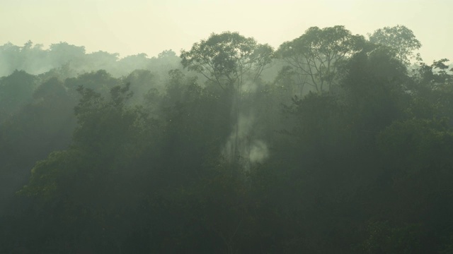空中烟雾森林火灾亚马逊雨林视频下载