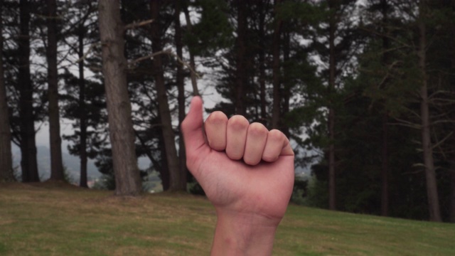 年轻人握紧拳头，站在长满绿草的山丘上的针叶林背景上视频下载