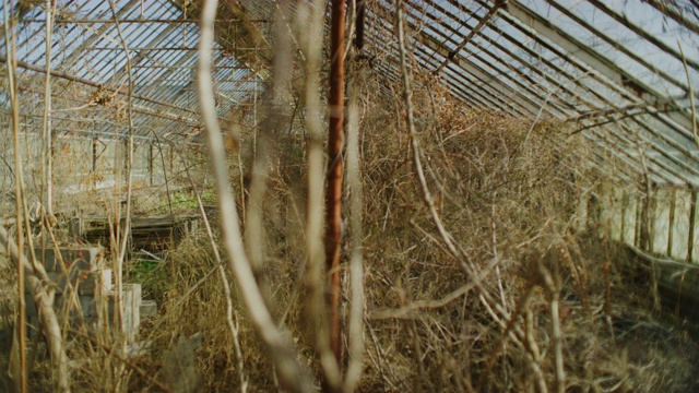 冬季在东港，康涅狄格一个废弃的温室的平移镜头视频下载