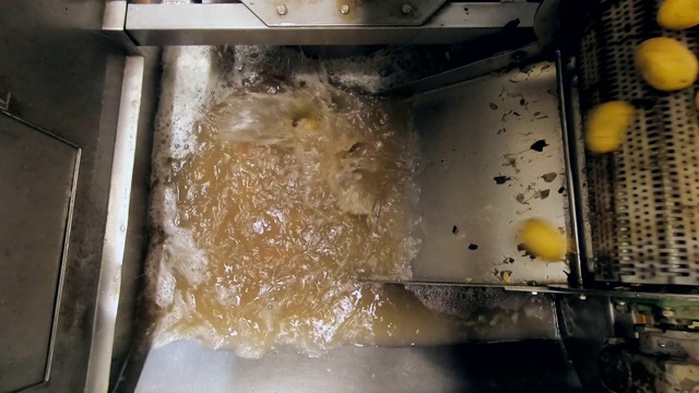 土豆是用工厂的机器清洗的视频素材