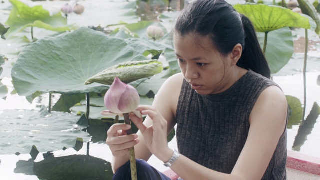 一名亚洲女子在荷塘里划着小船，采荷花，折荷花。在自然环境中放松的概念。视频素材