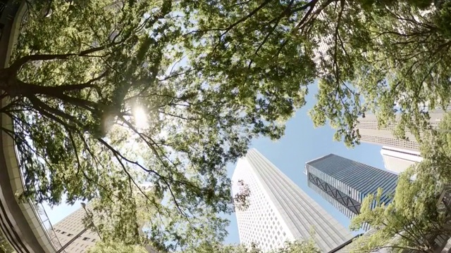 商业区的摩天大楼/绿树-抬头看看天空视频素材