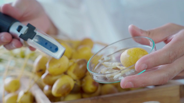 中东阿拉伯商人测试了红枣的甜果品种，用于转基因食品、生物食品概念的研发视频下载