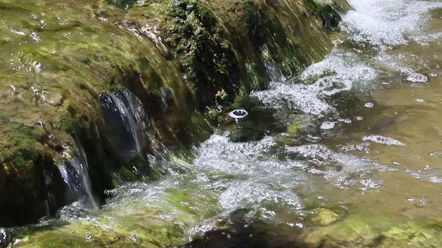 清澈的溪水视频素材