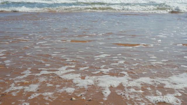 沙滩上死去的水母。海滩上有水母。海边的沙滩。水母被扔到了海滩上视频下载