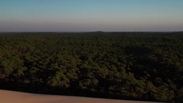 无人机向前飞行，显示了法国皮拉特沙丘边缘的一片森林视频下载