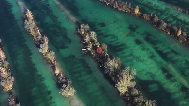 一架无人机飞向德国一个湖中的树篱视频素材