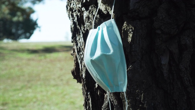 在森林空地上的一棵老松树树干上用过的医用口罩视频素材