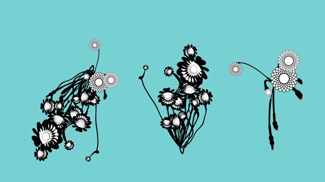 花卉装饰图案动画1视频素材