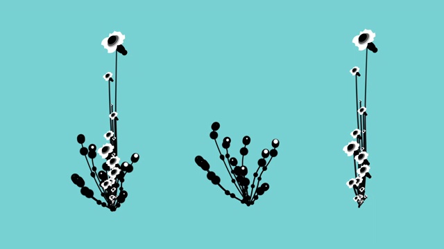 花卉装饰图案动画4视频素材