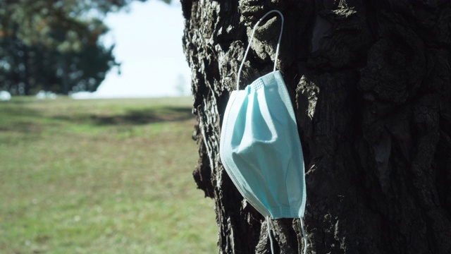 医用外科口罩挂在松柏树干的树皮上视频素材